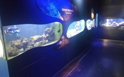 ACTUACIONES DE MEJORA EN SECCIONES DE ACUARIOS Y MUSEÍSTICA DEL CENTRO DE INTERPRETACIÓN DEL MAR DE ÁGUILAS «CIMAR»