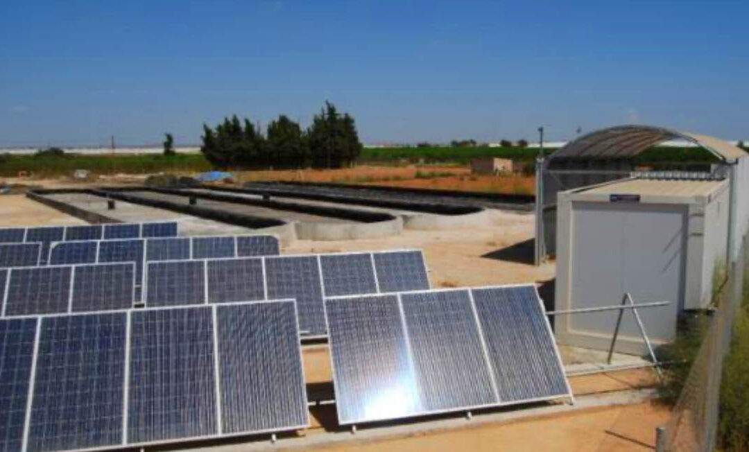 CULTIVO DE MICROALGAS EN SISTEMA DE RACEWAYS