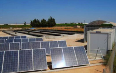 CULTIVO DE MICROALGAS EN SISTEMA DE RACEWAYS