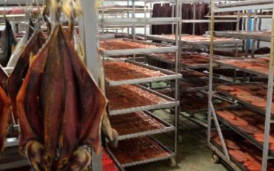 MODERNIZACIÓN CÁMARA DE FRÍO Y PROMOCIÓN Y FOMENTO DE VENTAS ONLINE