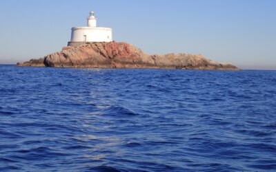 APOYO A LA VIGILANCIA DE LA RESERVA MARINA DE INTERÉS PESQUERO CABO DE PALOS – ISLAS HORMIGAS