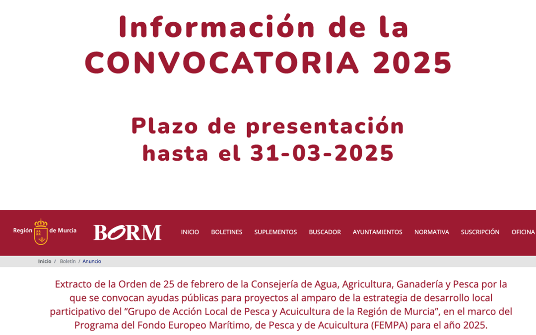 INFORMACIÓN DE LA CONVOCATORIA 2025