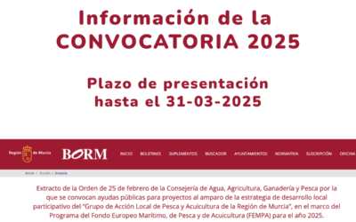 INFORMACIÓN DE LA CONVOCATORIA 2025