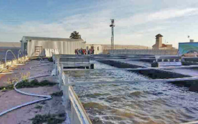 INSTALACIONES AUXILIARES PARA PLANTA DE PRODUCCIÓN DE MICROALGAS EN SAN JAVIER