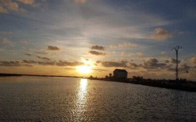 Instalaciones de monitoreo y seguimiento biológico del área de las encañizadas del Ventorrillo y la Torre en el Parque Regional de las Salinas y Arenales de San Pedro del Pinatar