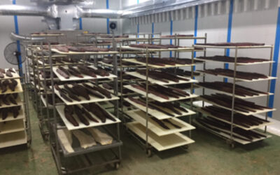 Modernización Cámara de Frío