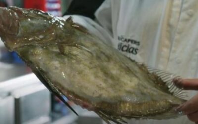 SPOT PROMOCIÓN MUNICIPIO DE ÁGUILAS