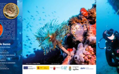 PROMOCIÓN Y DIVULGACIÓN DE DEPORTES Y ACTIVIDADES  NÁUTICAS