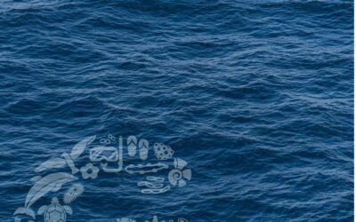 Recordatorio sobre la justificación de proyectos GALPEMUR 2025