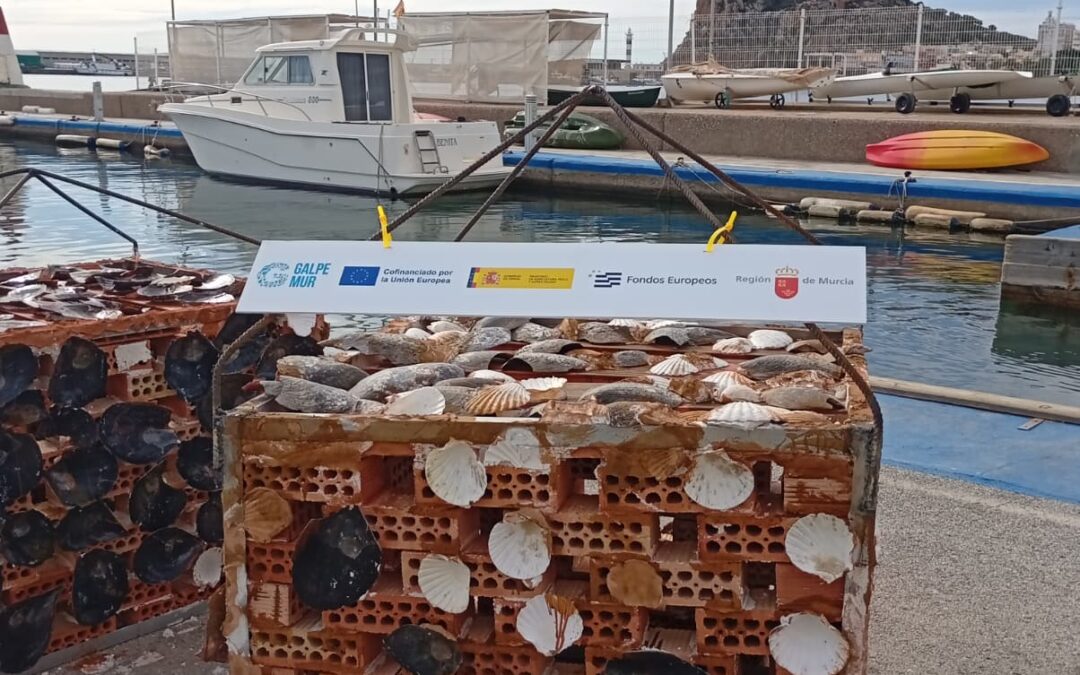 Águilas y Mazarrón avanzan en sostenibilidad y crecimiento azul con tres proyectos GALPEMUR finalizados
