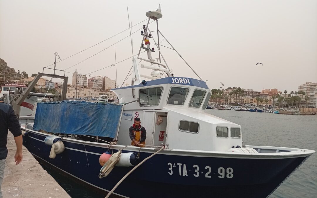 Acta de fin de obra de tres proyectos GALPEMUR 2025 en Águilas