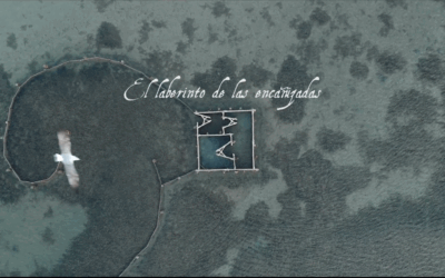 Dos proyectos GALPEMUR 2025 completan su ejecución en San Javier