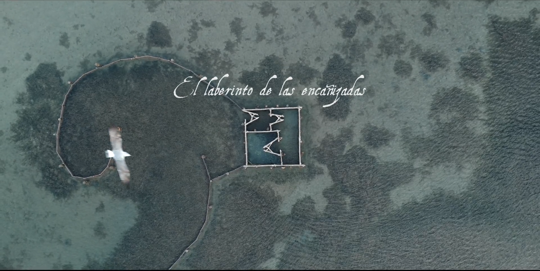 Dos proyectos GALPEMUR 2025 completan su ejecución en San Javier